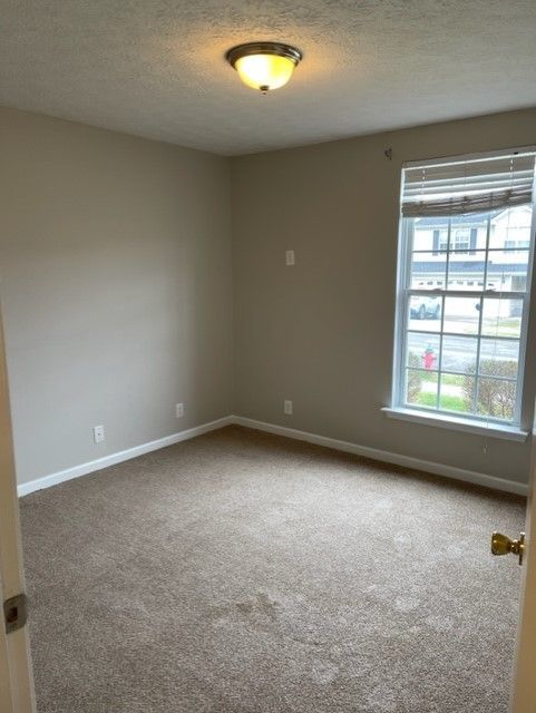 Lovely 3 Bed 2 Bath Home in Antioch property image